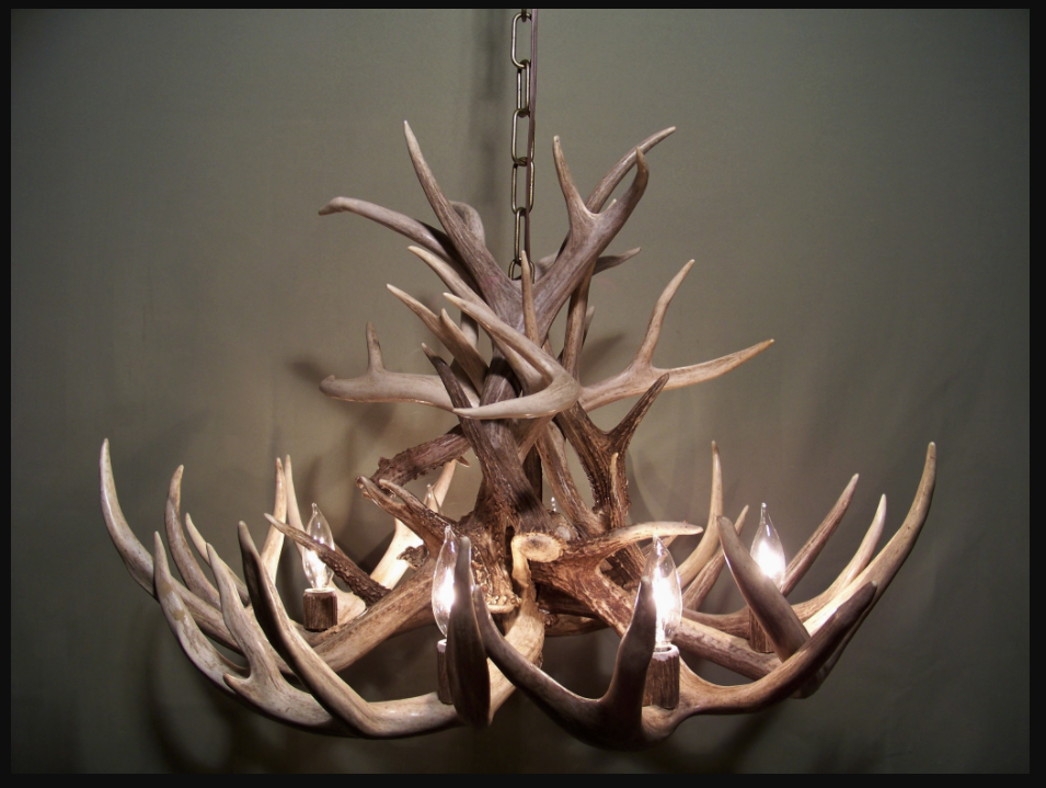 Deer Antler Chandelier Pendant Light