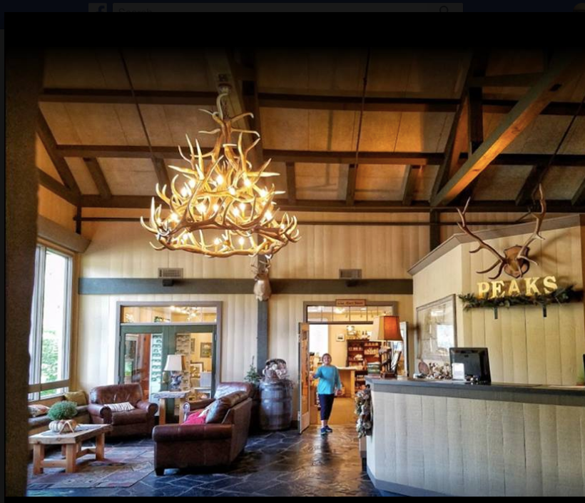 McCall Faux Elk Antler Chandelier, 60"W x 56"T