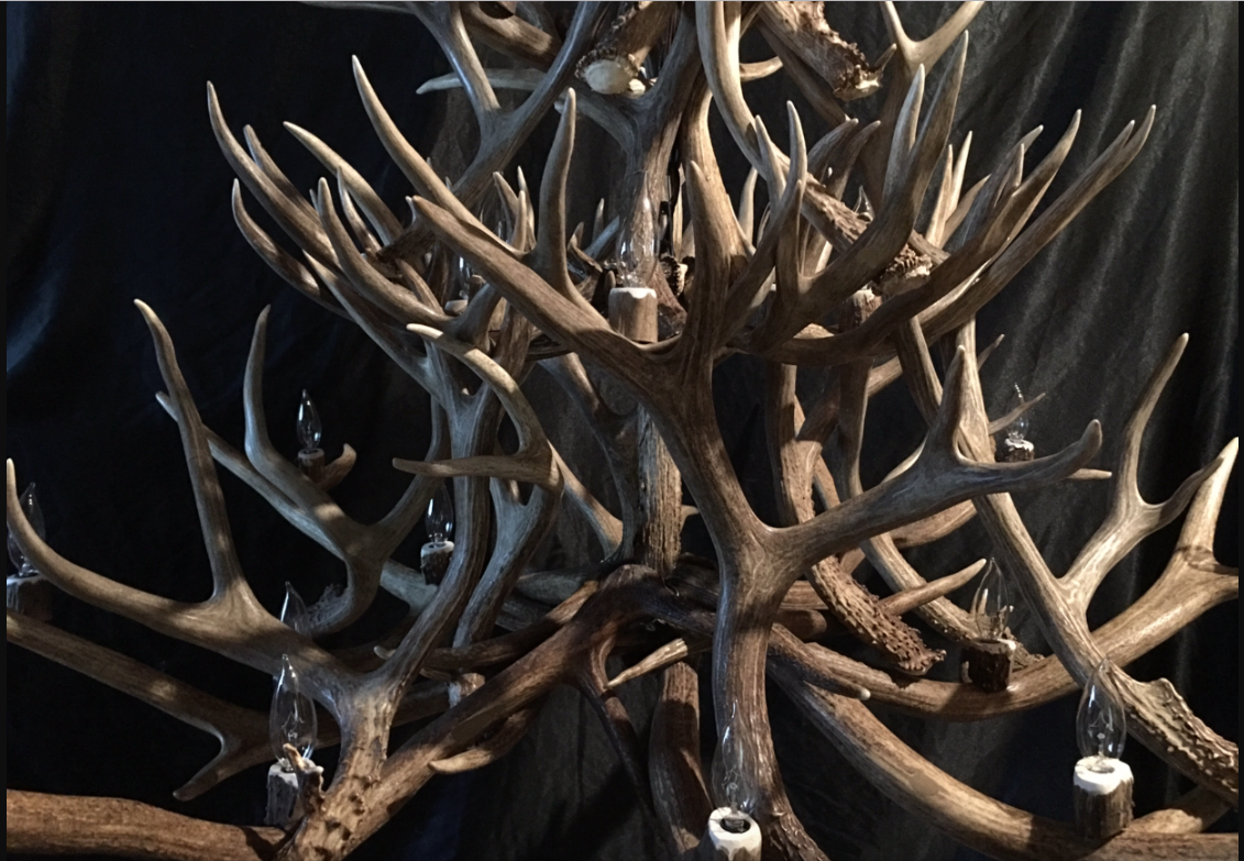 Gold Canyon Deer Antler Chandeliers