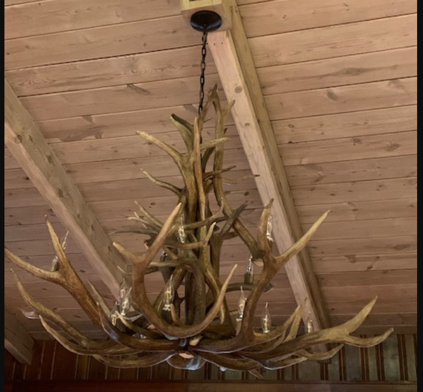 Bob Marshall Wilderness Elk Deer Chandelier