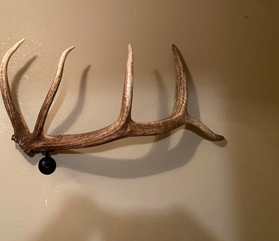 Real Elk Antler Towel Coat Rack