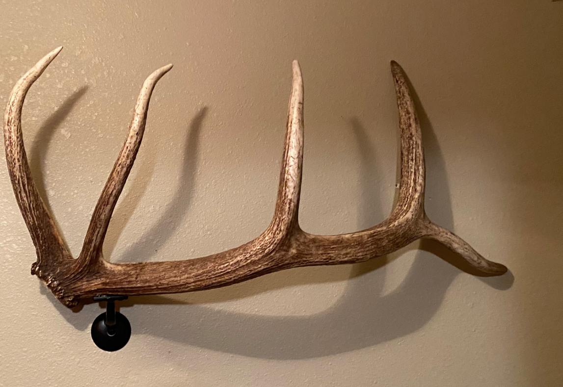 Real Elk Antler Towel Coat Rack TetonLighting