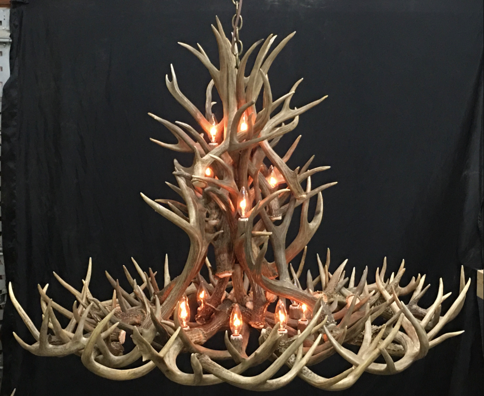 Gold Canyon Deer Antler Chandeliers