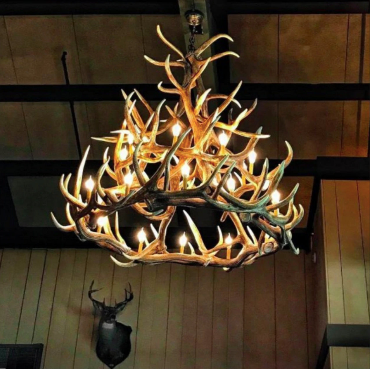 Regal Elk Antler Chandelier