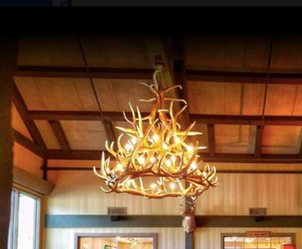 Regal Elk Antler Chandelier