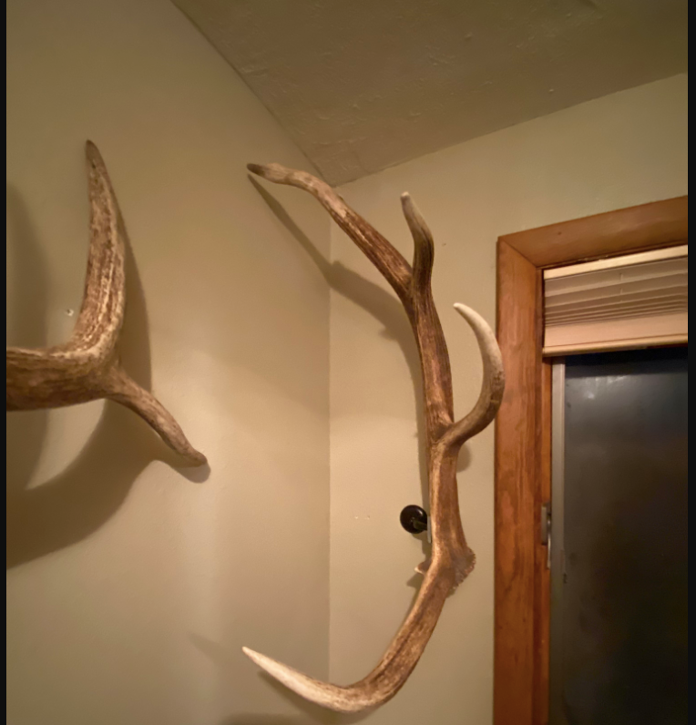 Real Elk Antler Towel Coat Rack