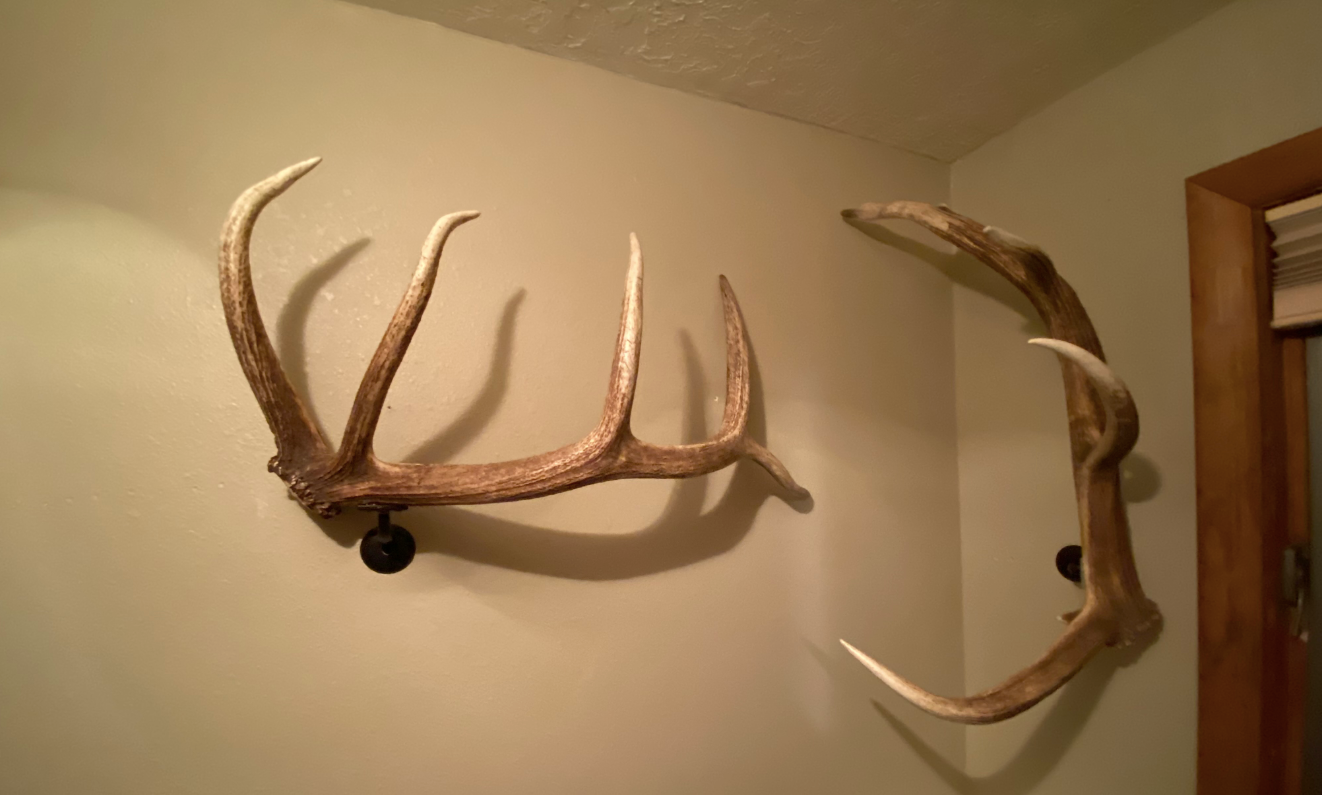 Real Elk Antler Towel Coat Rack