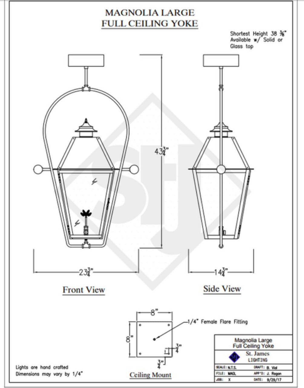 Line Drawings St. James Magnolia Lantern