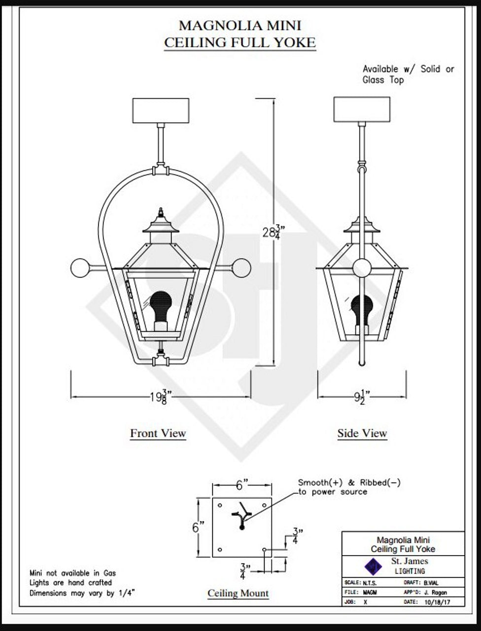 Line Drawings St. James Magnolia Lantern