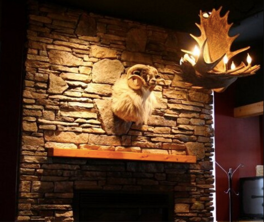 FAUX Moose ANTLER CHANDELIER
