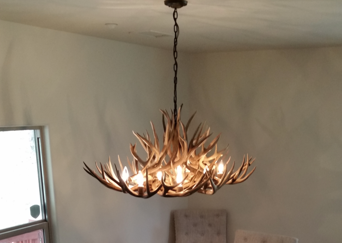 Grand Canyon Oblong Antler Chandelier 50"L,30"W,20"T, 8 Lights
