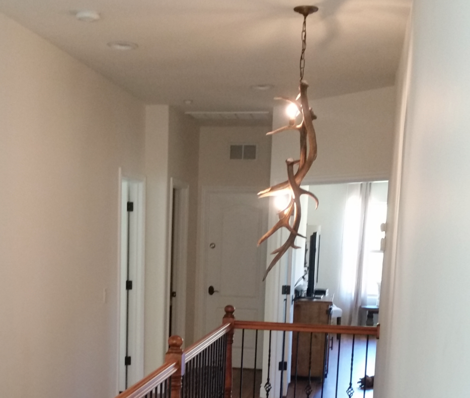 Pendleton Elk Antler Light