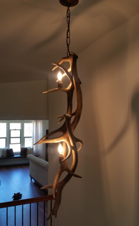 Antler Pendant Light