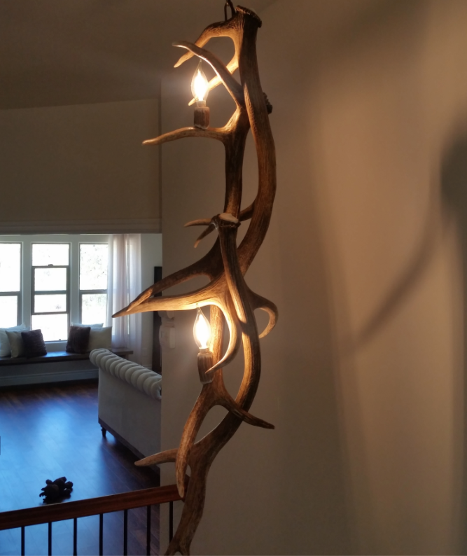 Pendleton Elk Antler Light