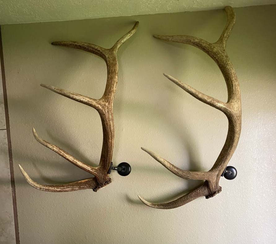 Real Elk Antler Towel Coat Rack