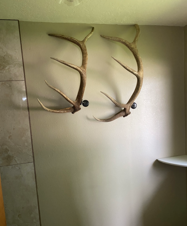 Real Elk Antler Towel Coat Rack