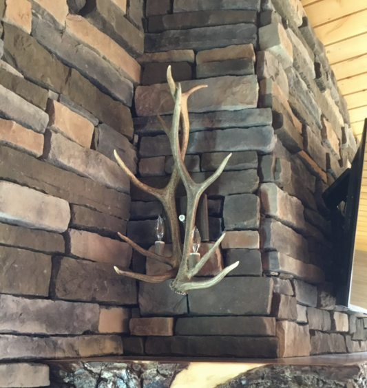 Elk  Antler Light