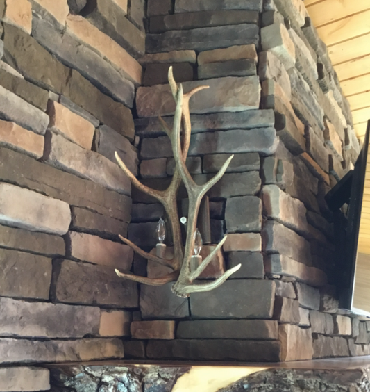 Real Elk Antler Wall Sconce