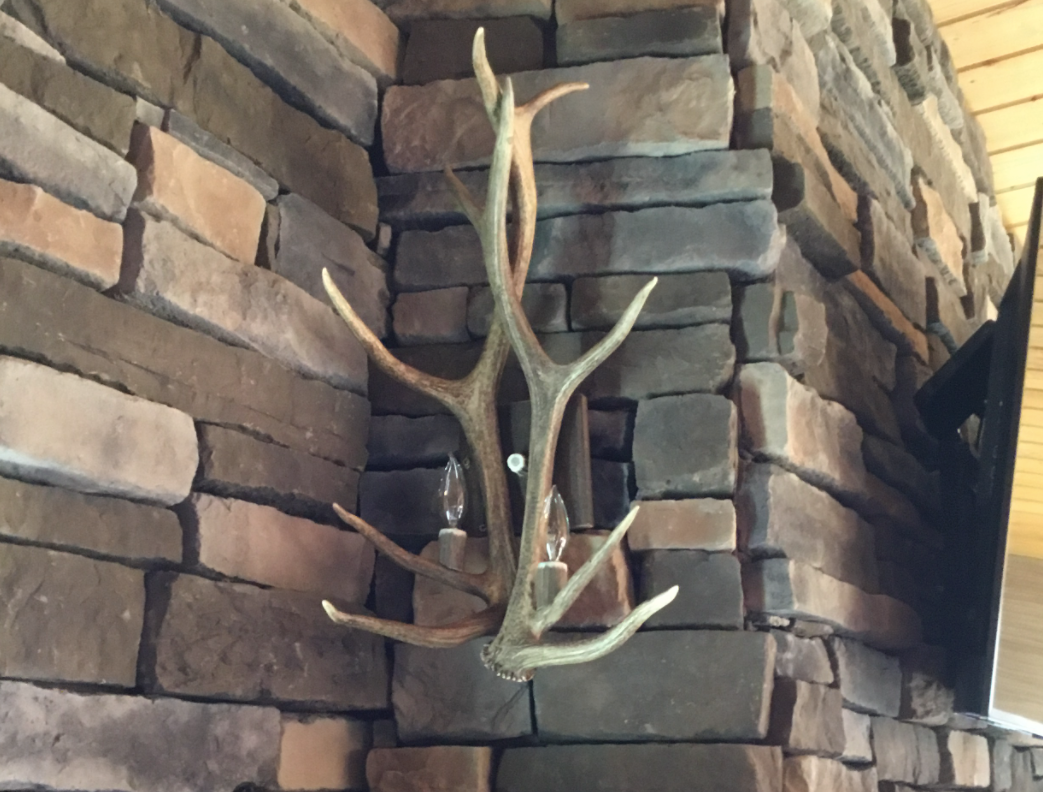Yellowstone Real Elk Antler Wall Sconce