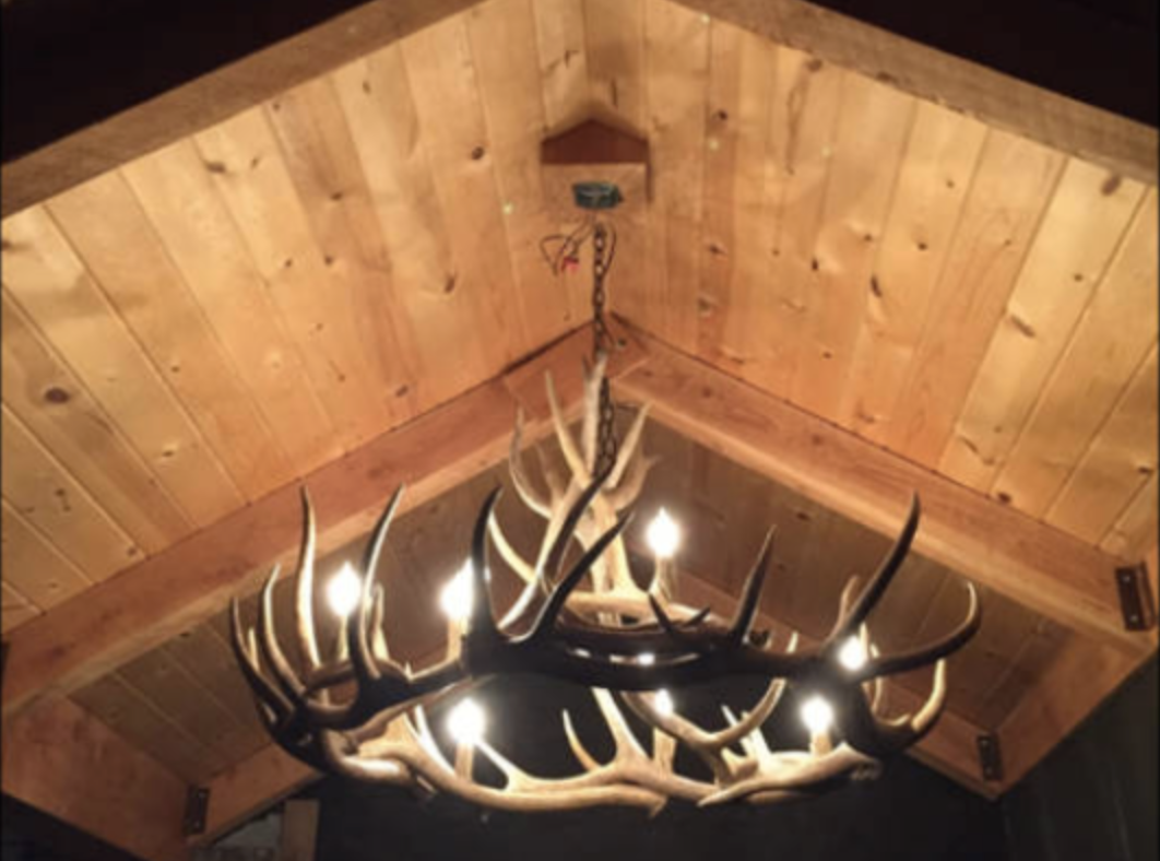 Moon River Elk Antler Chandelier