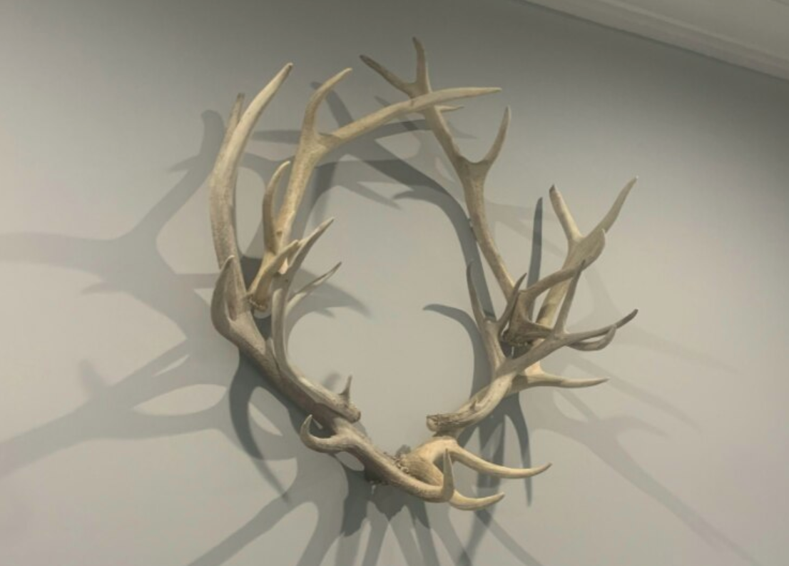 Elk and Deer Antler Wreath Garland