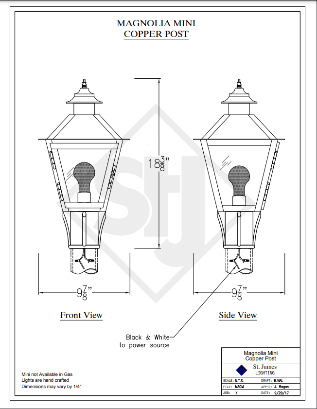 Line Drawings St. James Magnolia Lantern