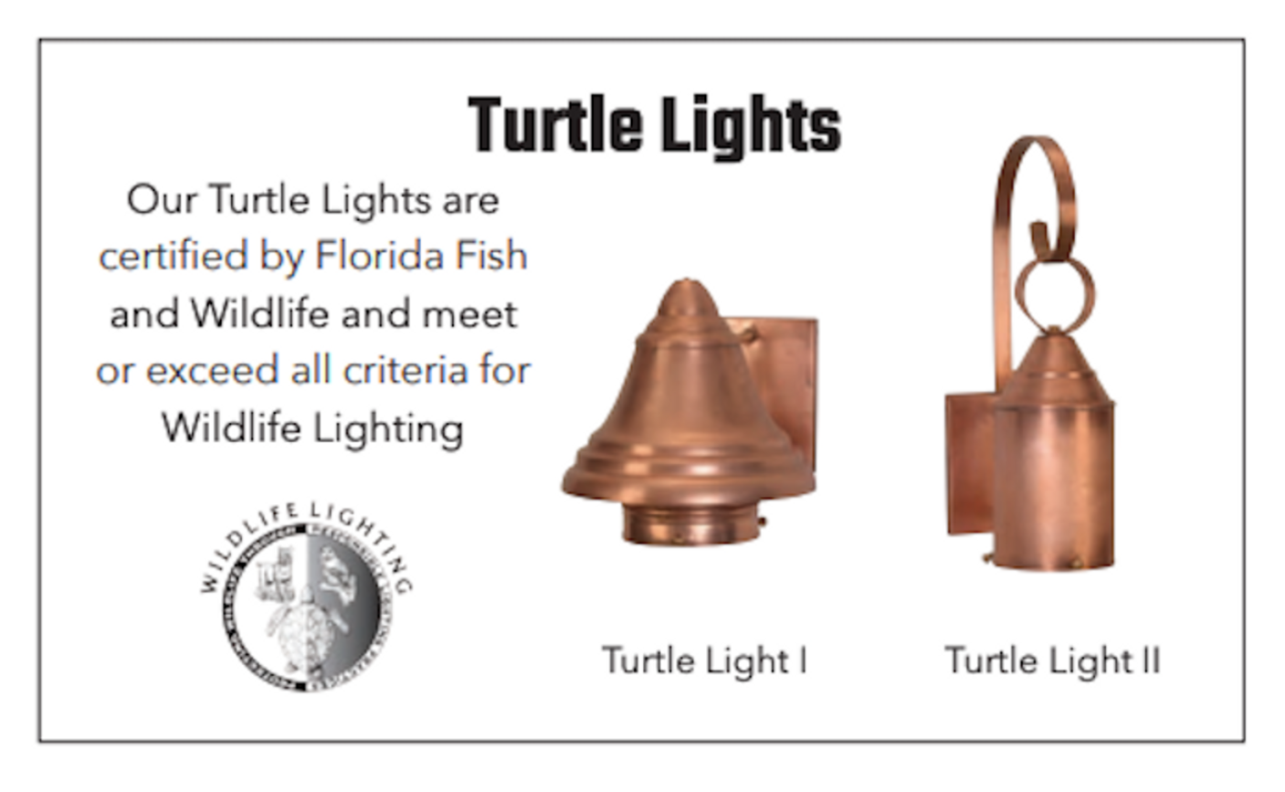 Copper Turtle Lights