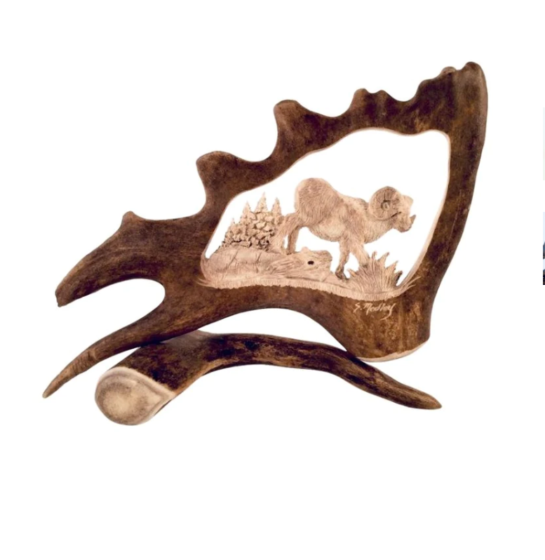 Wild Ram Antler Carving