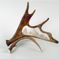Lone Wolf Antler Carving