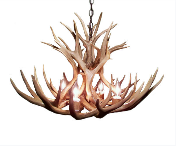 Selway Wilderness Deer Antler Chandelier