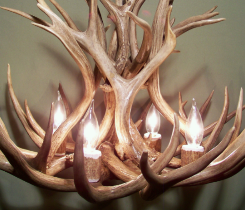 Antler Chandelier Pendant Light