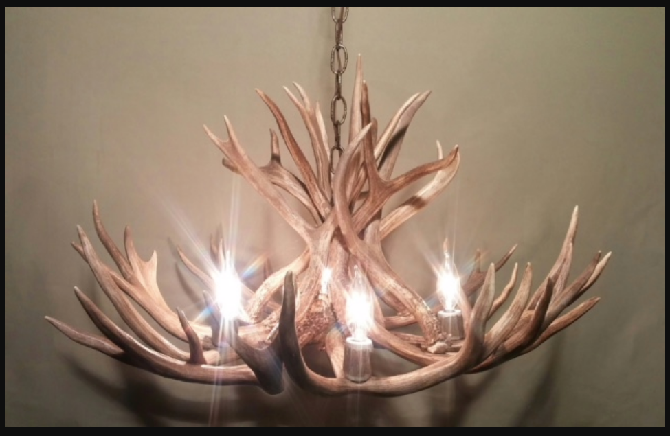 Colorado Deer Antler Chandelier, 28" W x 15" T, 4 Lights