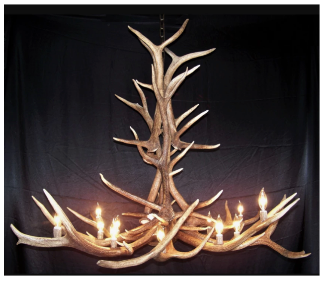 Arizona Elk Antler Chandelier, 12 Lights