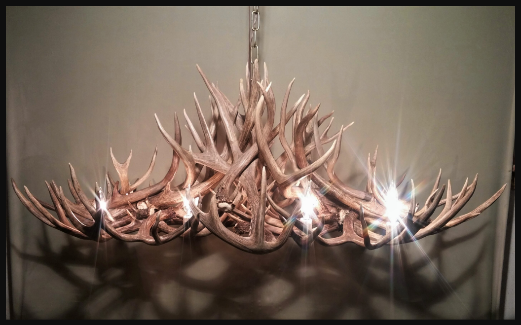 Grand Canyon Oblong Antler Chandelier 50"L,30"W,20"T, 8 Lights