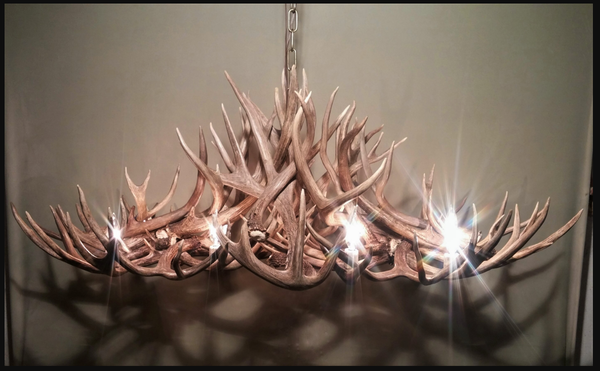 Grand Canyon Oblong Antler Chandelier 50"L,30"W,20"T, 8 Lights
