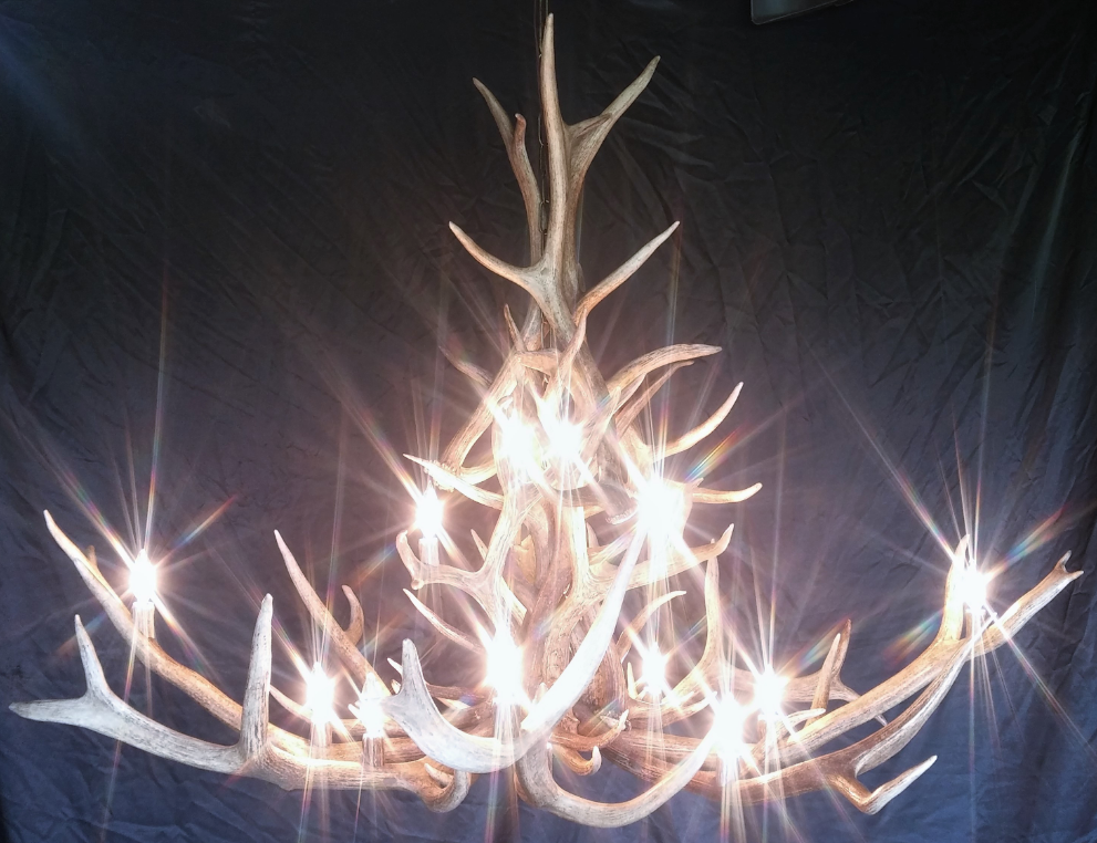 Bob Marshall Wilderness Elk Deer Chandelier