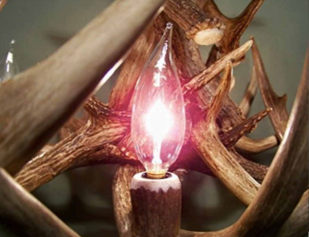 Colorado Deer Antler Chandelier, 28" W x 15" T, 4 Lights