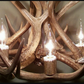 Iowa Deer Antler Chandelier, 24" W x 20" T, 4 Lights