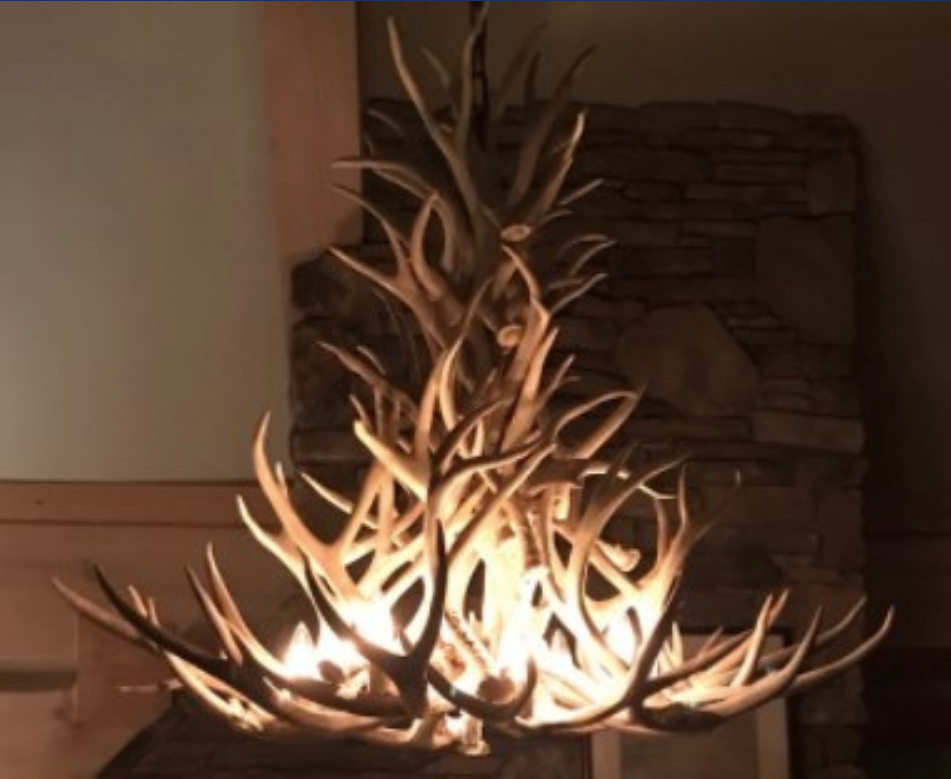 New Mexico Deer Antler Chandelier