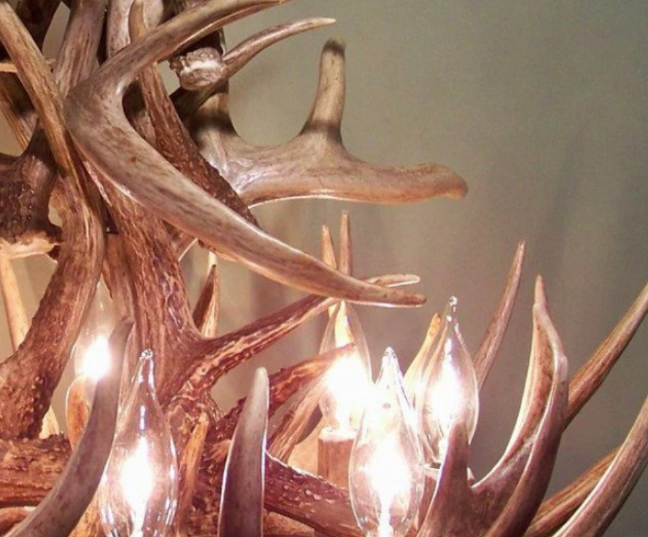 Ohio Deer Antler Chandelier, 27" W x 20" T, 8 Lights