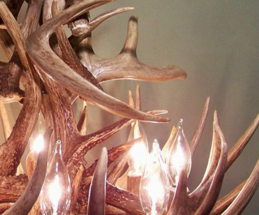 Deer Antler Chandelier Pendant Light