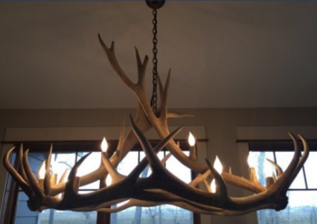 Elk Antler Chandelier Pendant Light