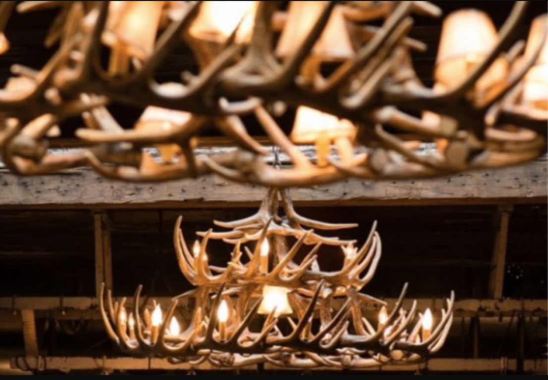 River Drive Faux Antler Chandelier, 42"W x 26"T