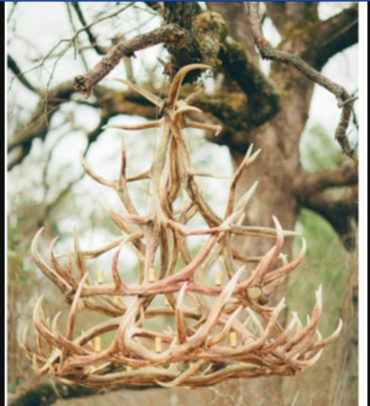 McCall Faux Elk Antler Chandelier, 60"W x 56"T