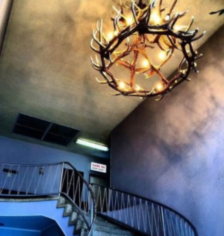 McCall Faux Elk Antler Chandelier, 60"W x 56"T