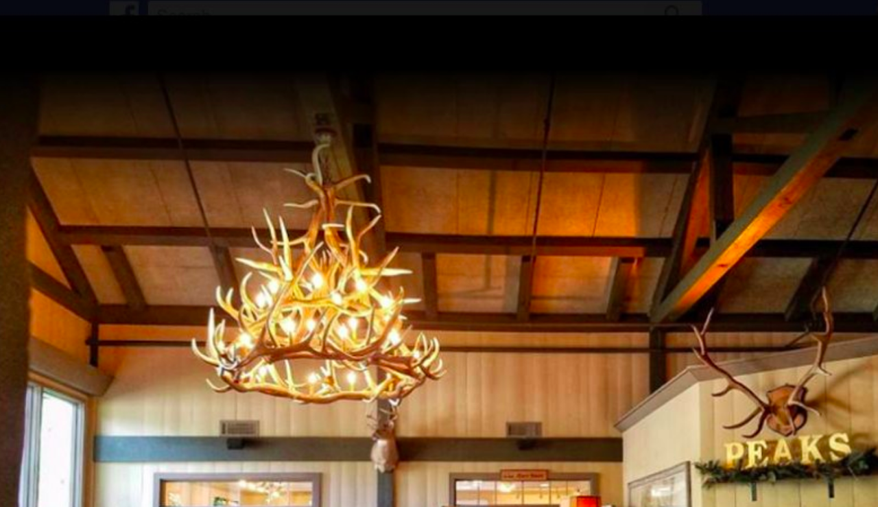 FAUX ANTLER CHANDELIER