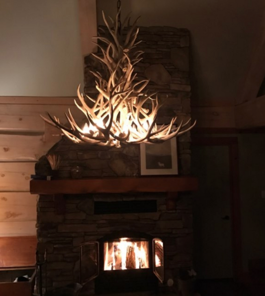 Deer Antler Chandelier Pendant Light