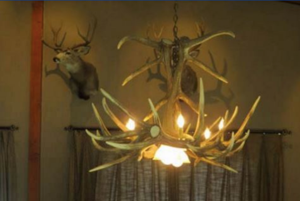 Growler Bull Faux Elk Antler Chandelier,60" L x 41"W x 30"T, 3 DL