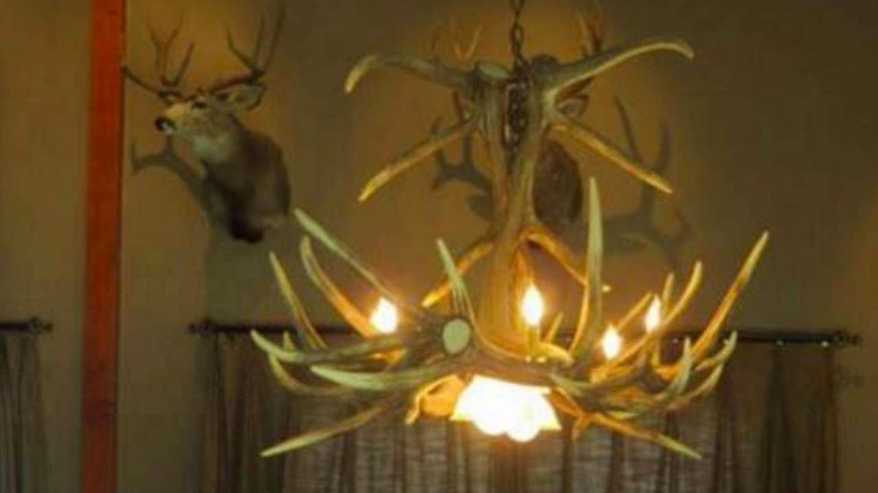 Growler Bull Faux Elk Antler Chandelier,60" L x 41"W x 30"T, 3 DL