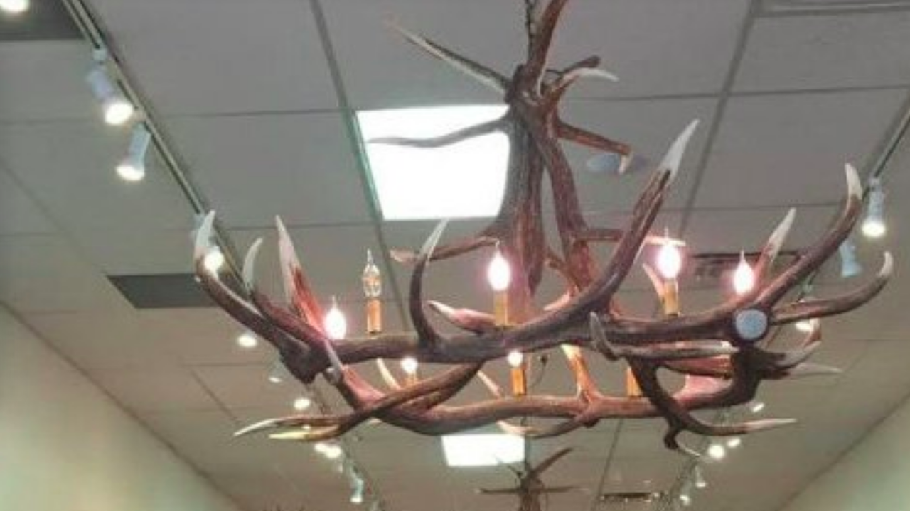 Ghost Mountain Faux Elk Antler Chandelier, 55"W x 32"T